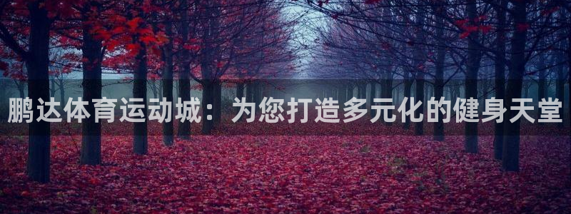 杏悦2代理注册官网入口