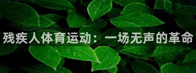杏悦2代理注册链接