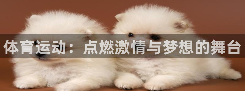 杏悦2集团总部