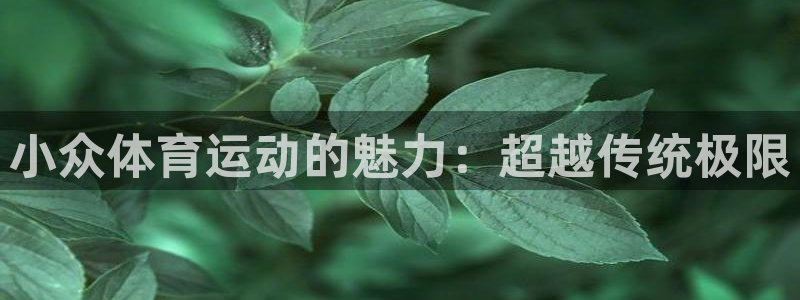 杏悦2官网注册