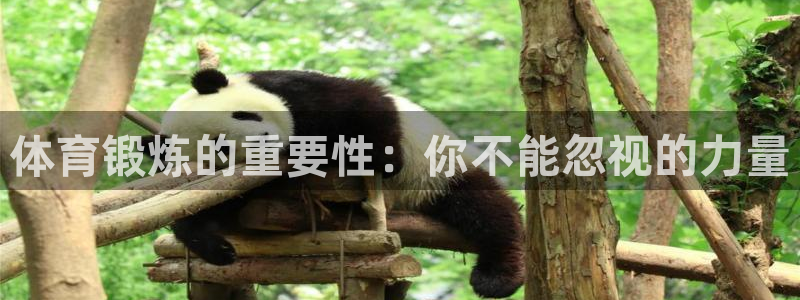 杏悦2体育f开户