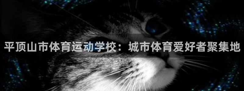 杏悦2集团股票