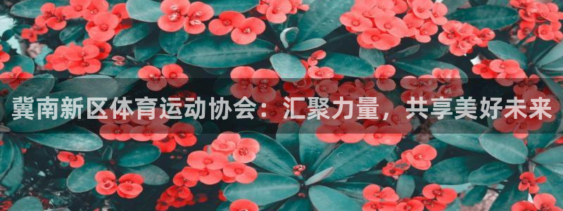 杏悦2体育老板是谁