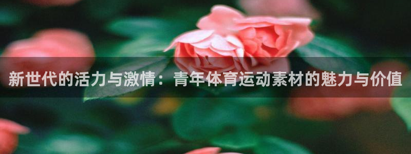 杏悦2体育代理