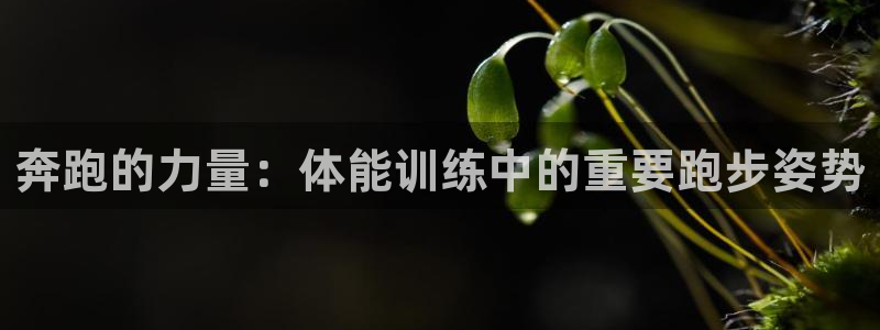杏悦2体育凯捷平台主管