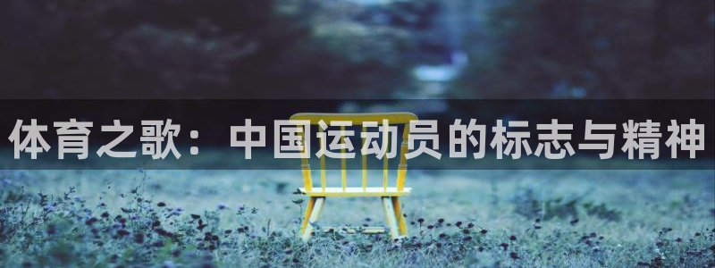 杏悦24开户