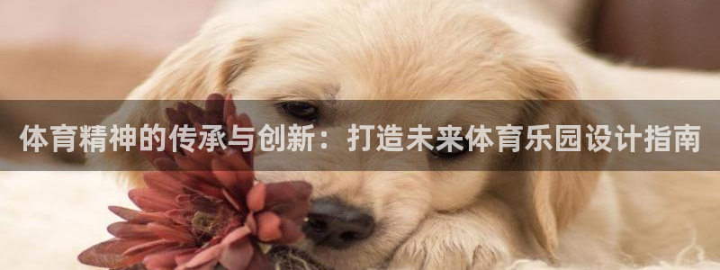 杏悦2体育平台注册