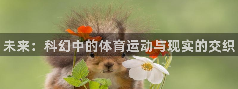 杏悦2官网注册