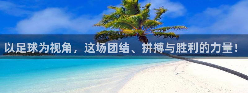 成都杏悦2电子有限公司