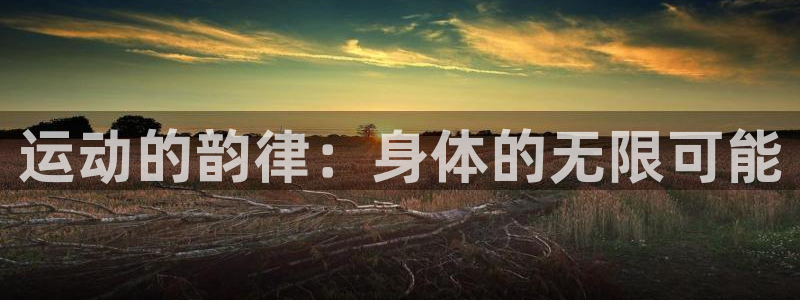 杏悦2体育平台注册