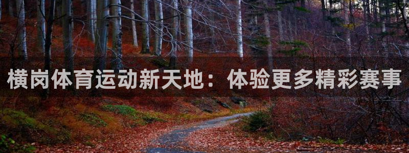 杏悦2凯捷开号链接