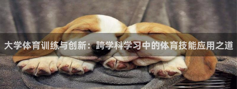 杏悦23注册