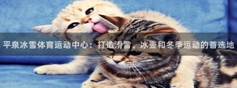 杏悦2体育论坛