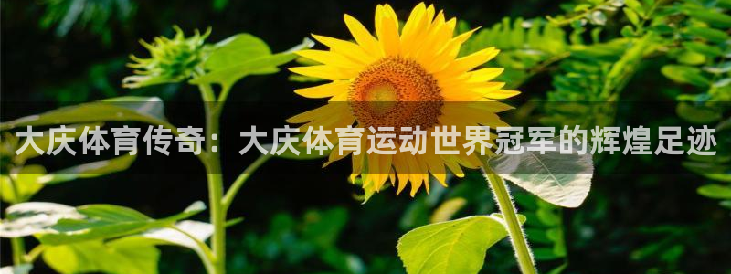 杏悦2官网